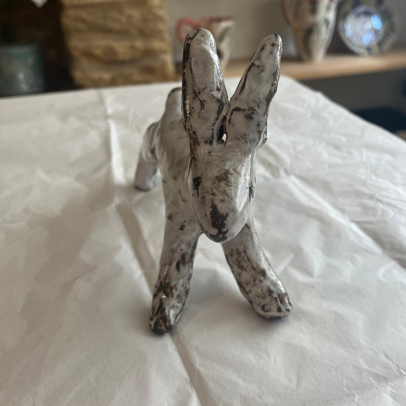 Rabbit 1